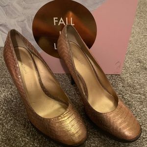 Gold Pump with slight platform